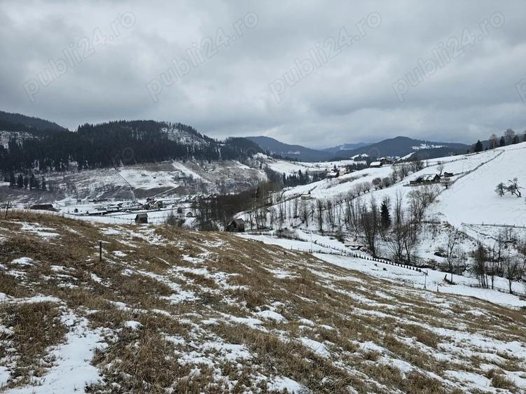 Teren 12.066 mp intravilan de vanzare in Bucovina Comuna Breaza Zona Breaza De sus - 8