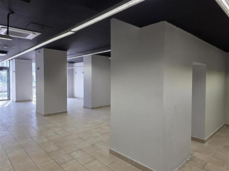Spațiu comercial, de 330 mp, în Ghencea