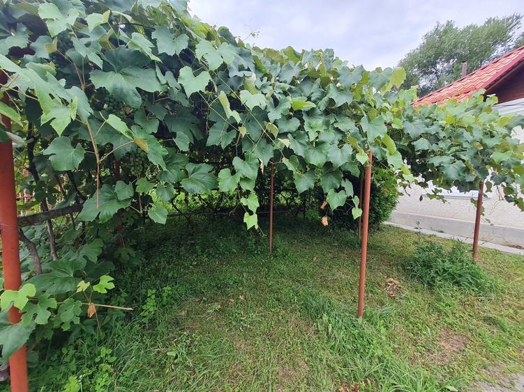 Casă cu 3 camere în Mălureni