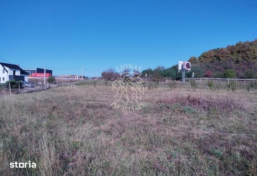 Teren de 12300 mp, în Șieu