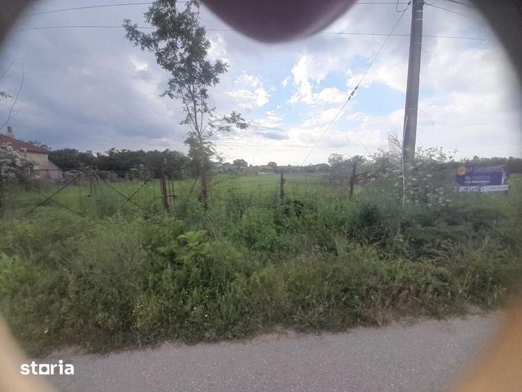 Teren de 3665 mp, în Crângurile