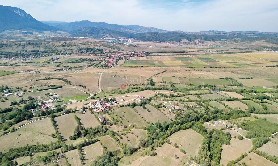 Teren Construcții intravilan de 10000 mp, în Sohodol