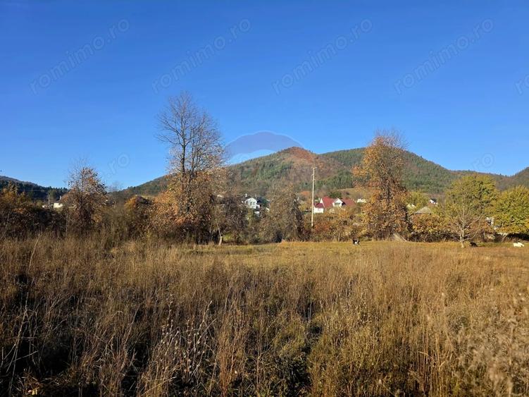 Teren de 6874 mp, în Alexandru cel Bun