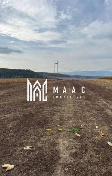 Teren agricol extravilan de 8000 mp, în Daia