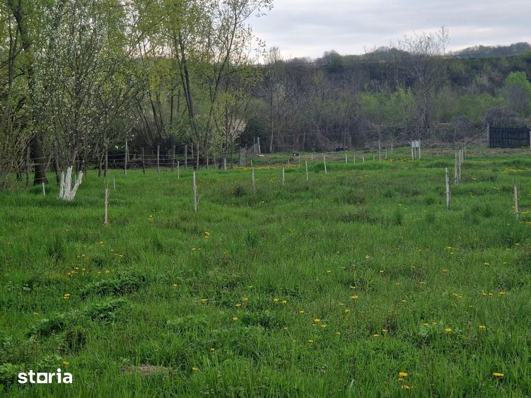 Teren de 1809 mp, în Moțăieni