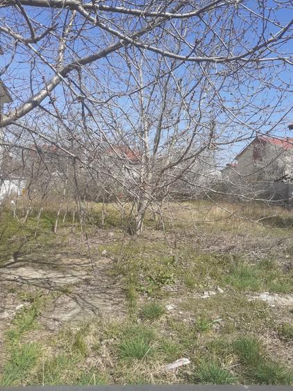 Teren Construcții intravilan de 720 mp, în Kamsas