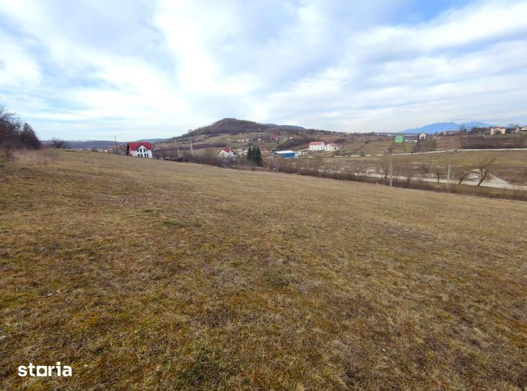 Teren de 6000 mp, în Nord