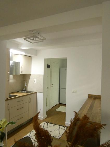 Apartament cu 2 camere semidecomandat în Obcini
