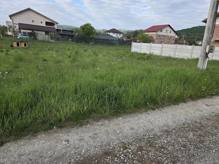 Teren de 739 mp, în Bogdănești (Bujoreni)