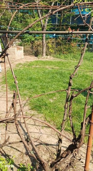 Apartament cu 2 camere în Băneasa