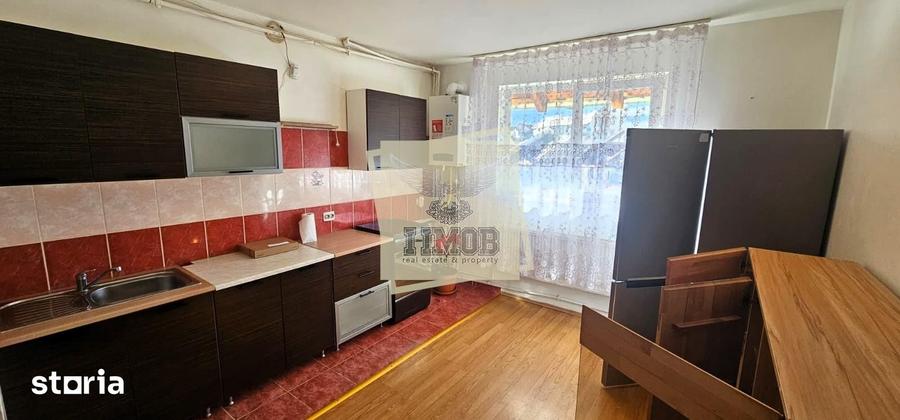 Apartament cu 2 camere, mobilat în Terezian