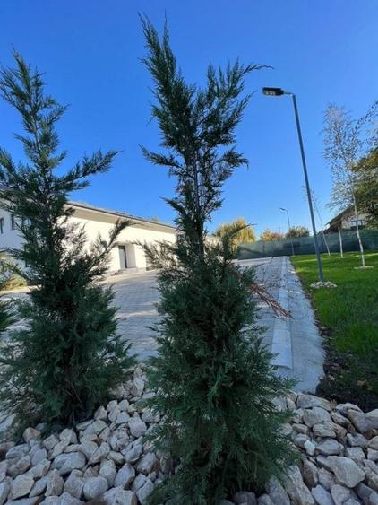 Duplex cu 5 camere cu Teren 250 Mp în Autogară