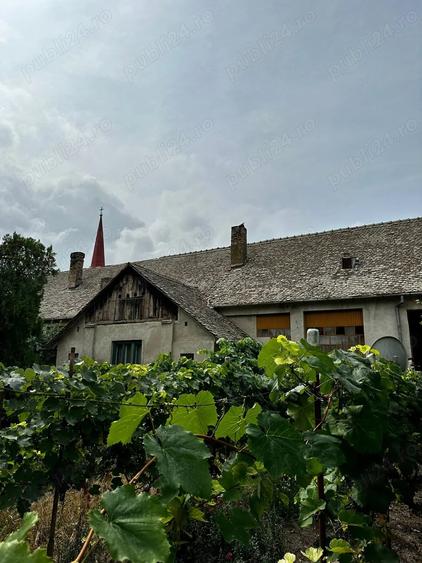 Casă cu 6 camere cu Teren 4300 Mp în Otelec
