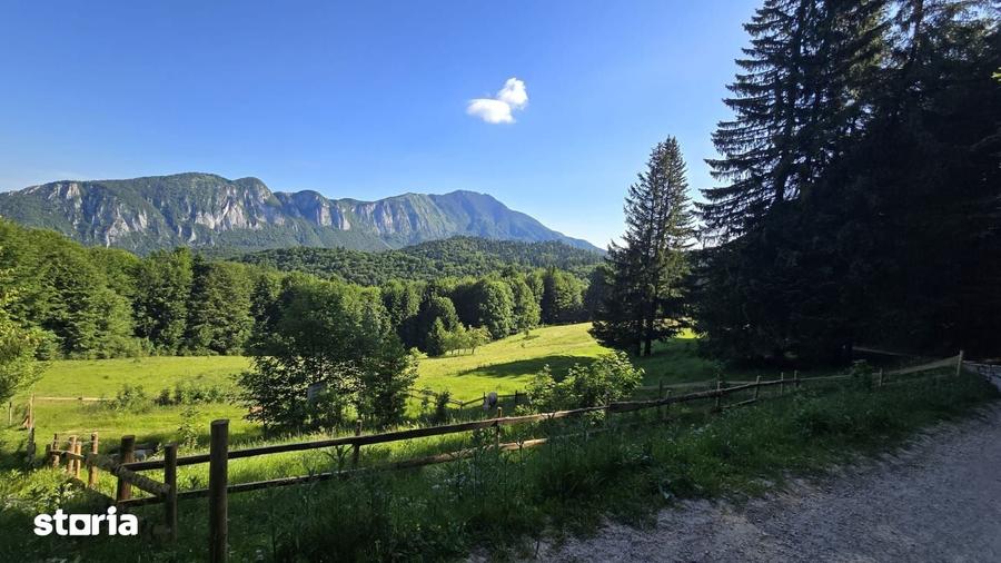 Teren de 2650 mp, în Central