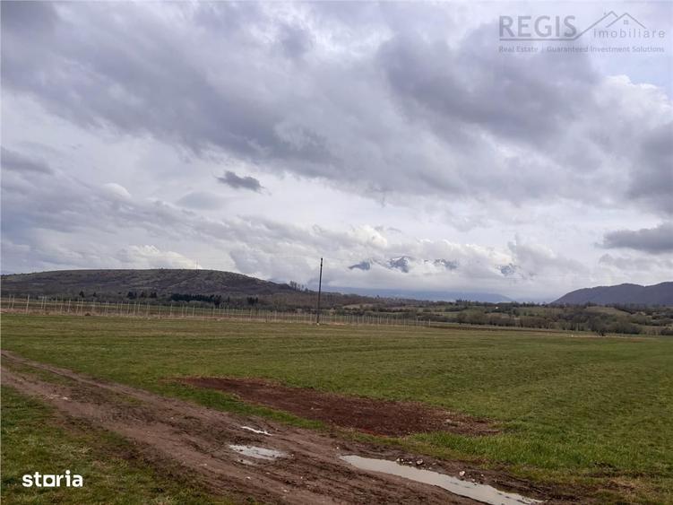 Teren constructii, 2396mp, front 19ml-Zarnesti - 3