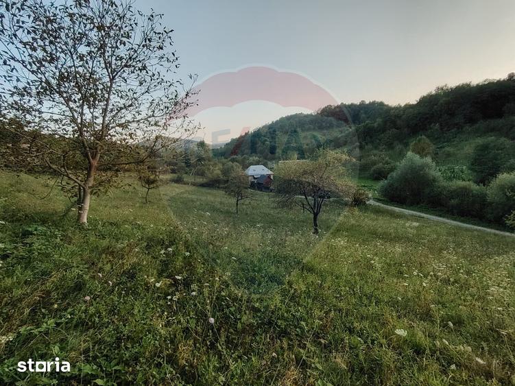 Teren de 2339 mp, în Bârsana