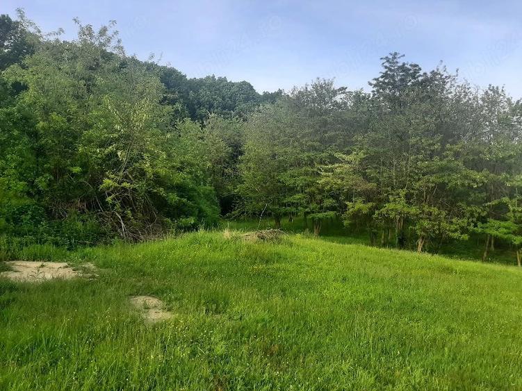 Teren de 1200 mp, în Vlădesti