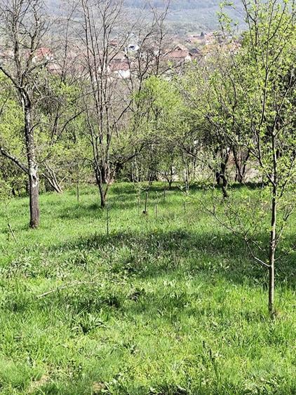 Teren de 1000 mp, în Jiblea Veche