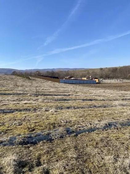 Teren extravilan de vanzare in Sfantu Gheorghe - 4