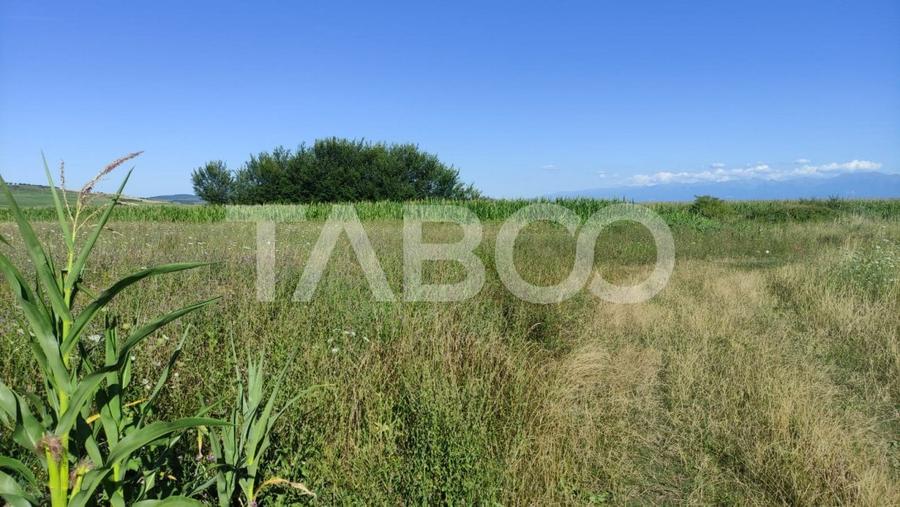 Teren agricol extravilan de 25920 mp, în Șura Mică