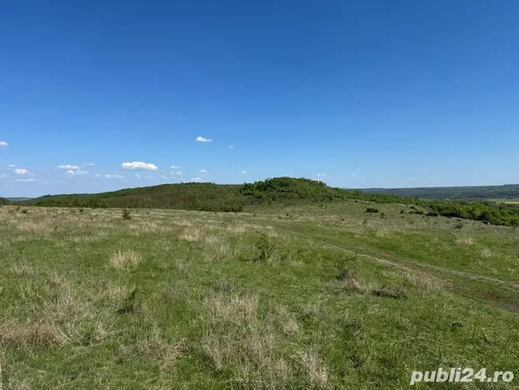Teren de 480000 mp, în Prunișor