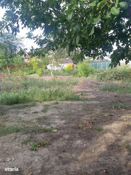 Teren de 1100 mp, în Vânători