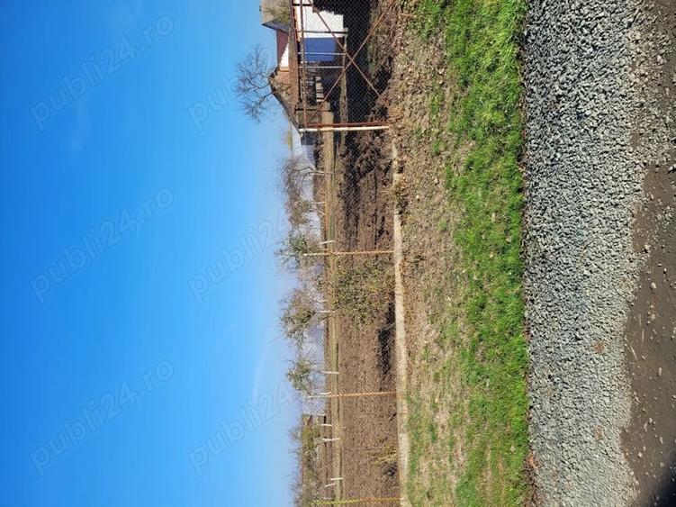 Teren de 1414 mp, în Sânpetru Mare