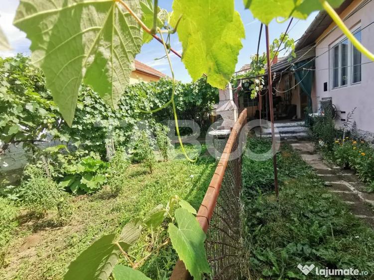 Casă cu 4 camere cu Teren 394 Mp în Trei Stejari
