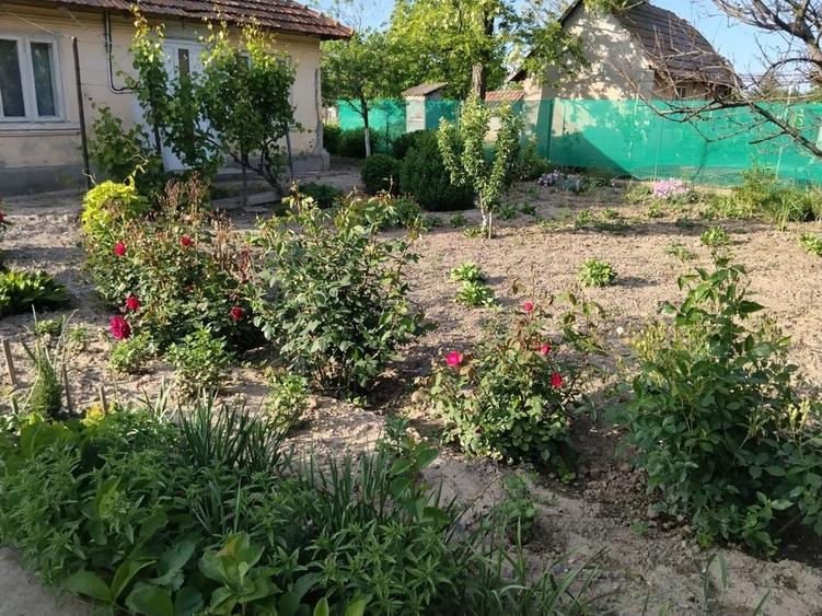 Casă cu 3 camere în Perieți