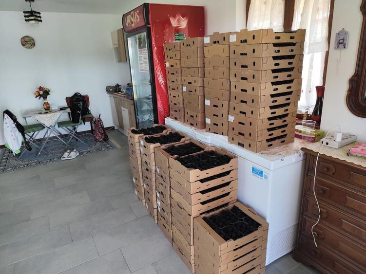 Proprietate specială, de 30 mp, în Nord