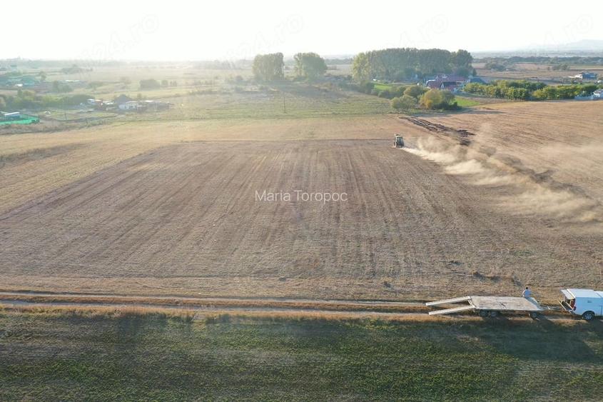 Teren agricol 2.537 mp de vanzare Sanpetru, Bra?ov