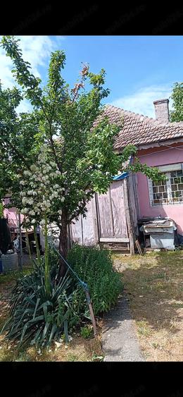 Casă cu Teren 650 Mp în Cogealac