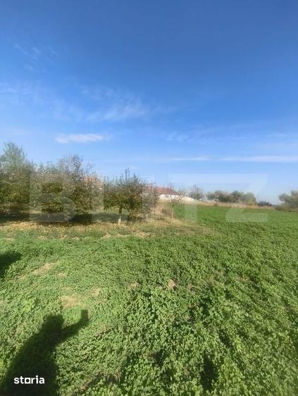 Casă cu 2 camere decomandat cu Teren 3825 Mp în Mihai Viteazu