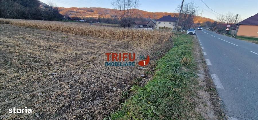 Spațiu comercial, în Ampoița