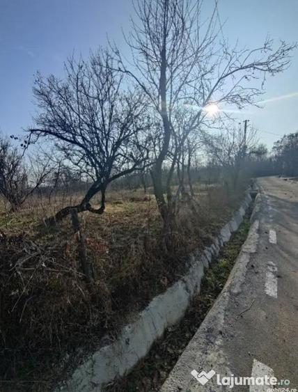 Teren de 2440 mp, în Podenii Vechi