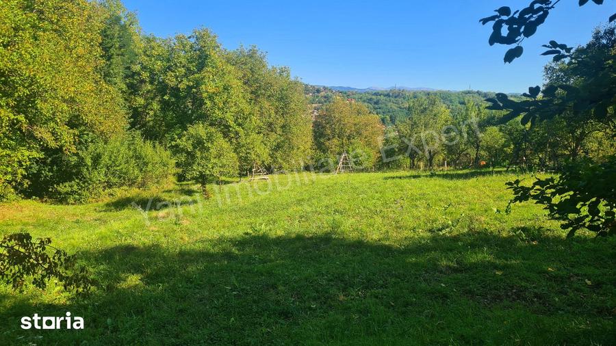Casă cu 3 camere cu Teren 4391 Mp în Valea Danului