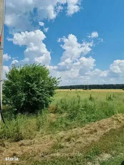 Teren de 428.99 mp, în Brănești