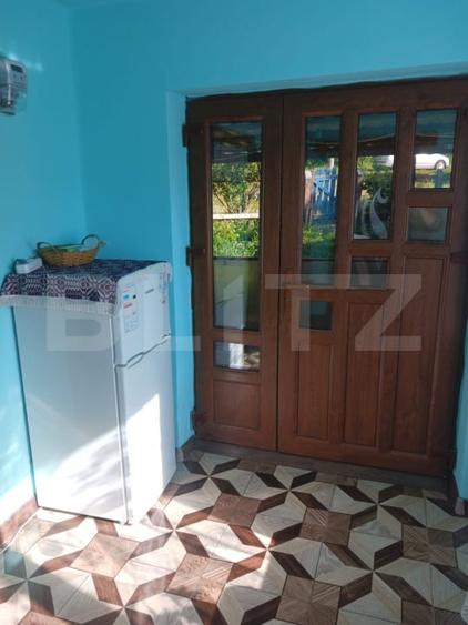 Casă individuală cu 2 camere cu Teren 3800 Mp în Brad