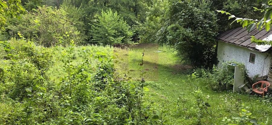 Teren de vanzare 15.000 mp in Telega - 2