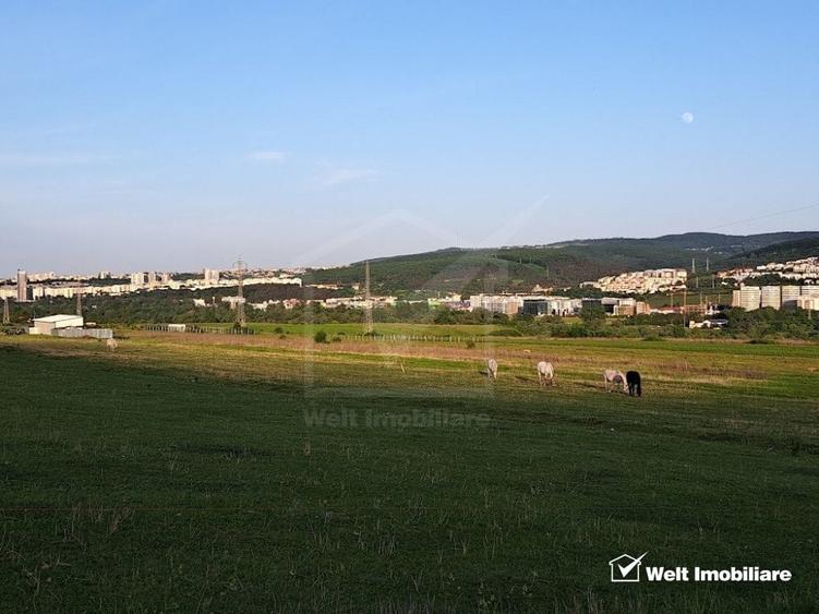Teren agricol extravilan de 2900 mp, în Florești