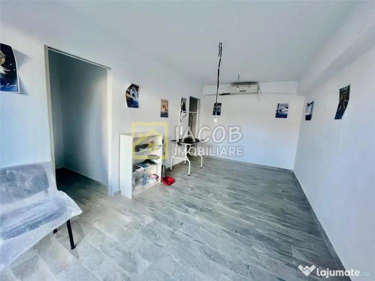Spațiu comercial, de 250 mp, în Mioriței