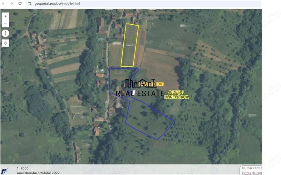 Casă cu Teren 9223 Mp în Baia de Criș