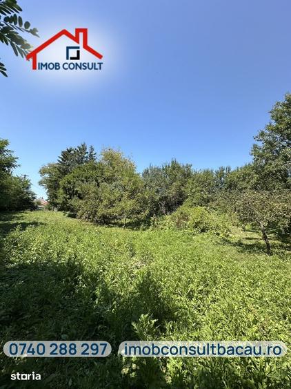 Casa de vanzare cu teren de 1.000 mp|Grigoreni, comuna Scorteni|CE1803 - 5