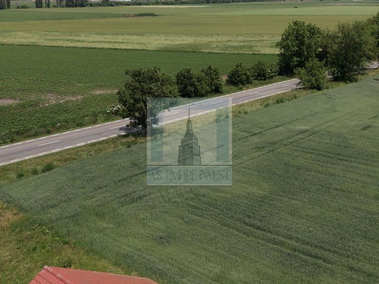 Teren Construcții intravilan de 50000 mp, în Hălchiu