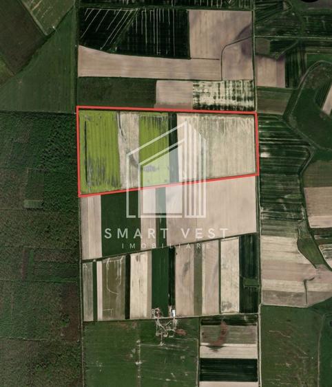 Teren agricol extravilan de 96500 mp, în Ardud