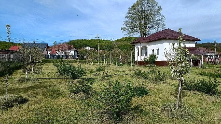 Casă cu Teren 1500 Mp în Crâmpotani