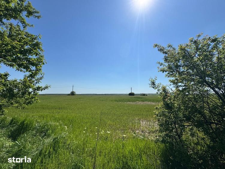 Teren de 12500 mp, în Corbii Mari