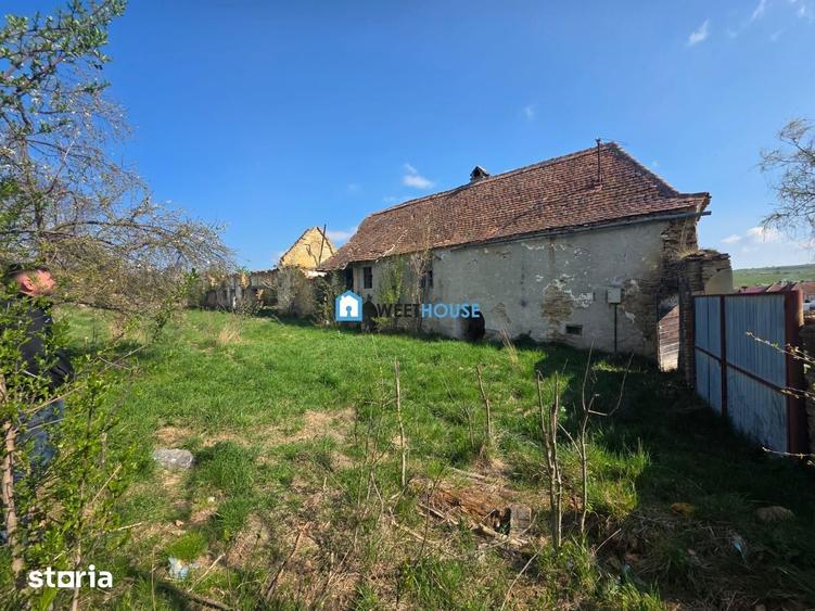 Teren de 3890 mp, în Șoarș