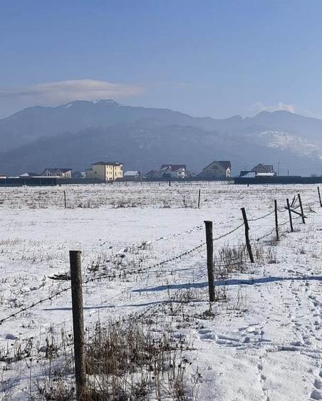 Teren Construcții intravilan de 1049 mp, în Pănicel