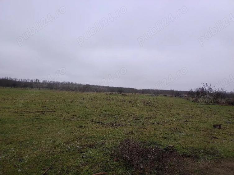 Teren de 8140 mp, în Băltenii de Jos